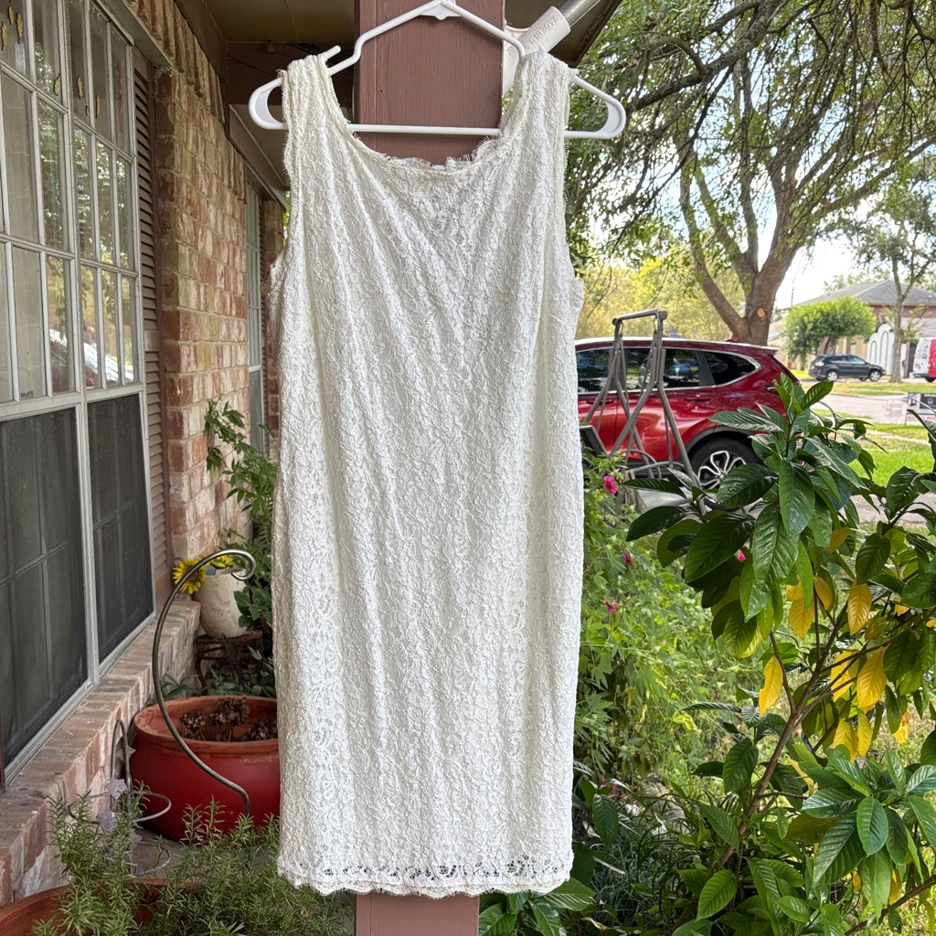 Adrianna Papell Ivory Lace Dress